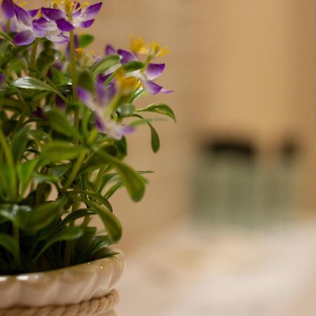 Suite Corallo - Smart Holiday Mantua Zewnętrze zdjęcie